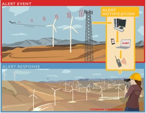 Schematic of Normandeau Associates ReCon system